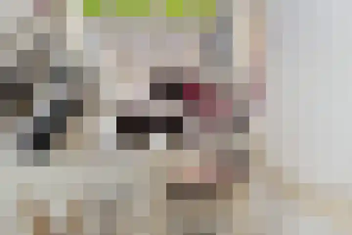 Doemakkers 16 Oosterhesselen thumbnail 25