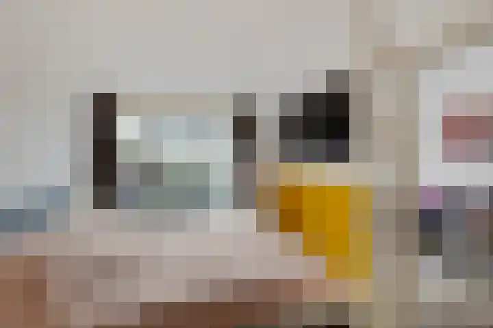 Doemakkers 16 Oosterhesselen thumbnail 26