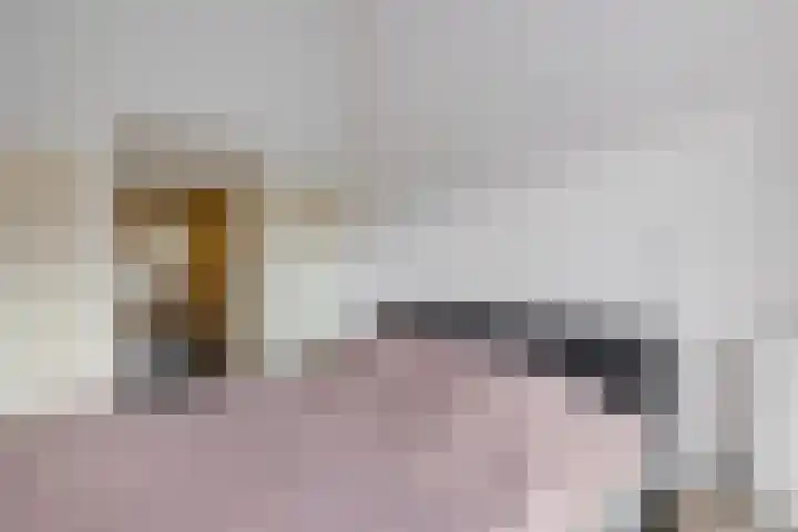 Doemakkers 16 Oosterhesselen thumbnail 27