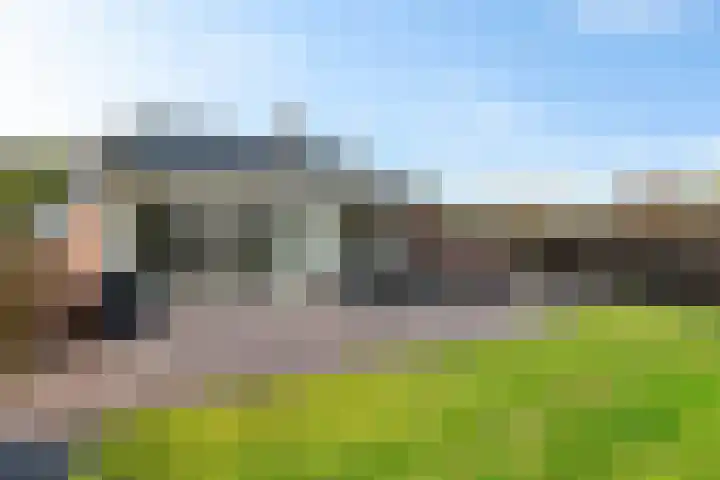 Doemakkers 16 Oosterhesselen thumbnail 30