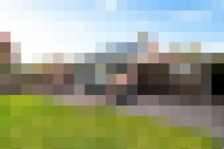 Doemakkers 16 Oosterhesselen thumbnail 31