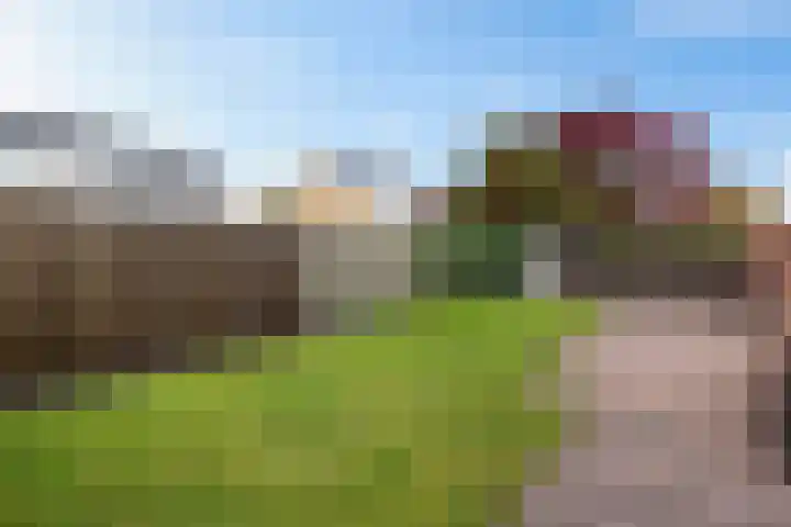 Doemakkers 16 Oosterhesselen thumbnail 32