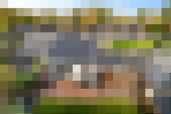 Doemakkers 16 Oosterhesselen thumbnail 33