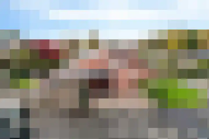 Doemakkers 16 Oosterhesselen thumbnail 34