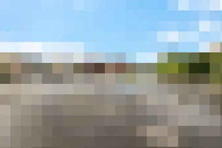 Doemakkers 16 Oosterhesselen thumbnail 35