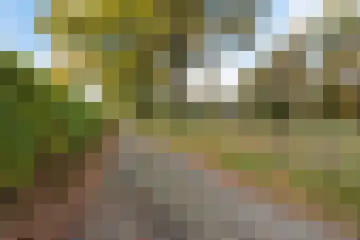 Doemakkers 16 Oosterhesselen thumbnail 36