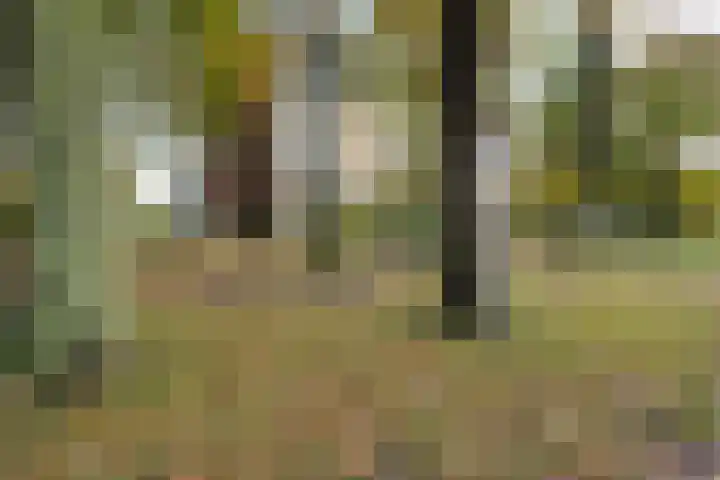 Doemakkers 16 Oosterhesselen thumbnail 37
