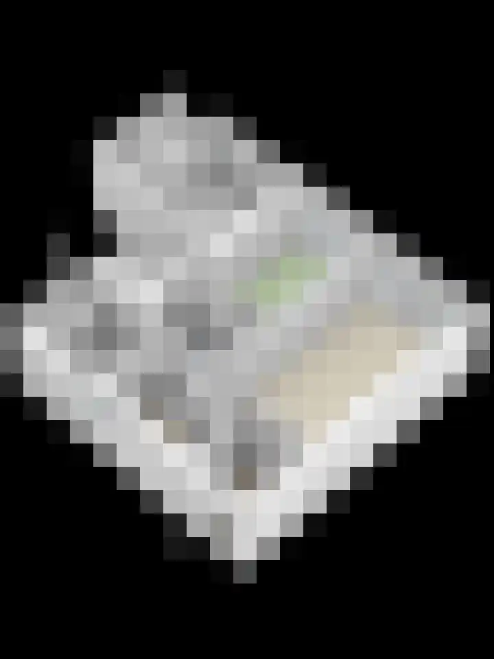 Doemakkers 16 Oosterhesselen thumbnail 41