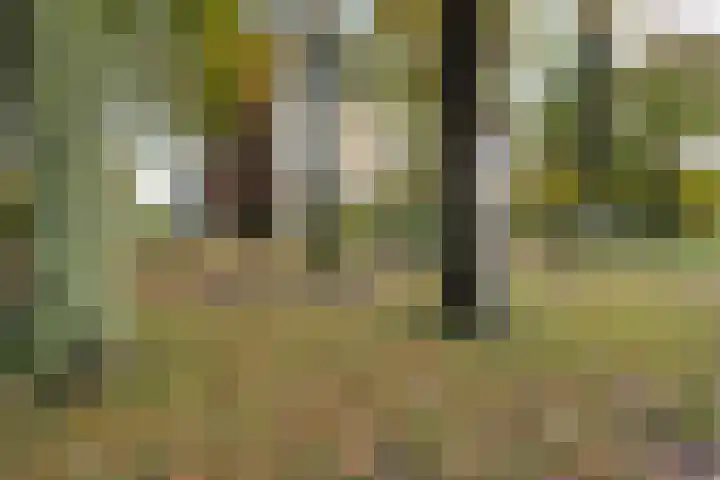 Doemakkers 16 Oosterhesselen thumbnail 5