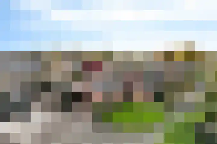 Doemakkers 16 Oosterhesselen thumbnail 6