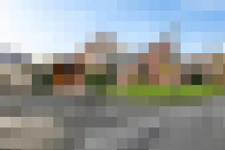 Doemakkers 16 Oosterhesselen thumbnail 7