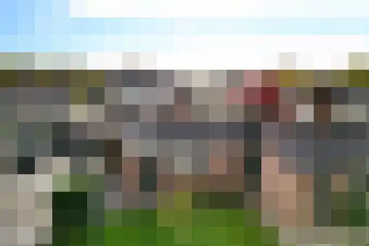 Doemakkers 16 Oosterhesselen thumbnail 8