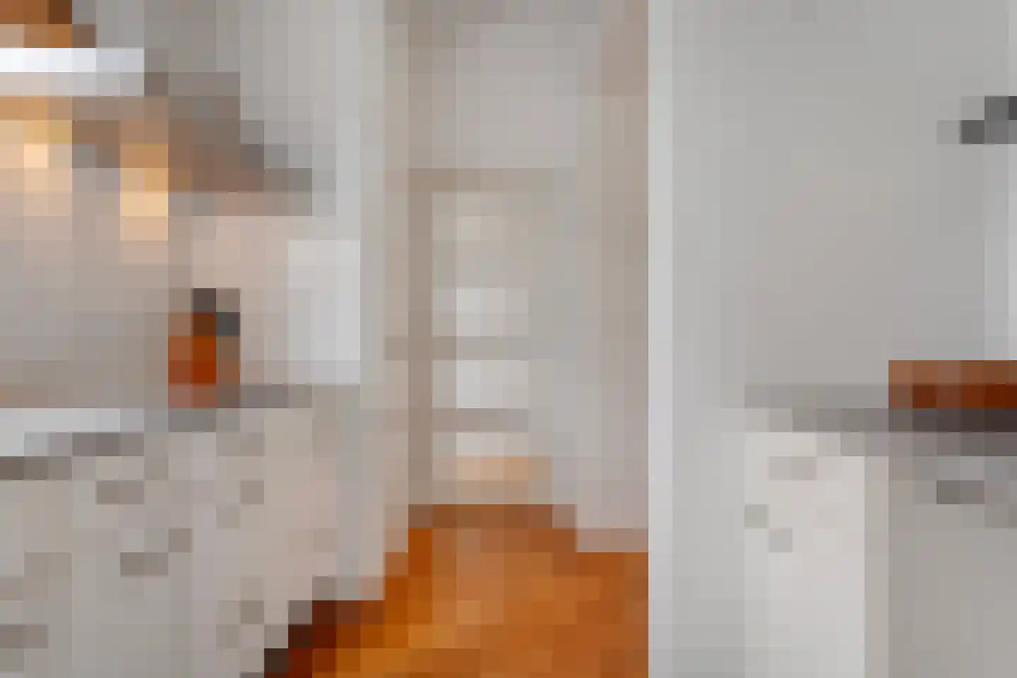 Doemakkers 6 Oosterhesselen thumbnail 12