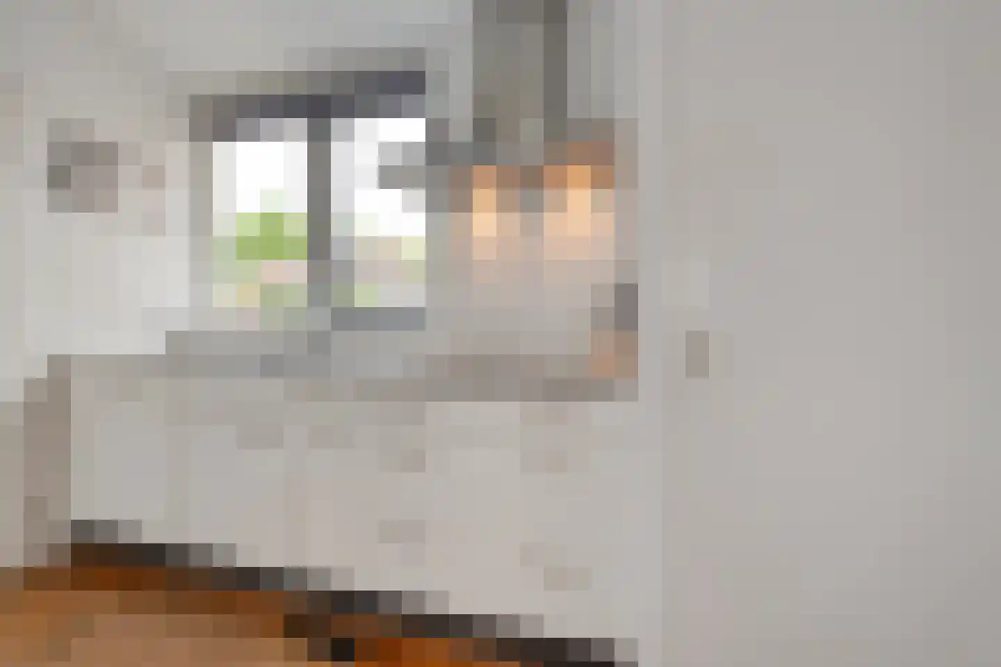 Doemakkers 6 Oosterhesselen thumbnail 13