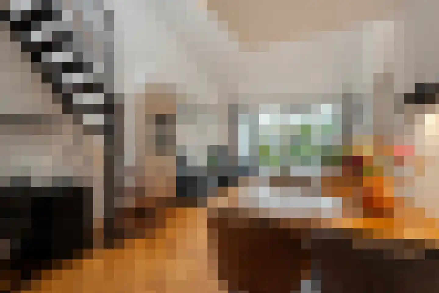 Doemakkers 6 Oosterhesselen thumbnail 18