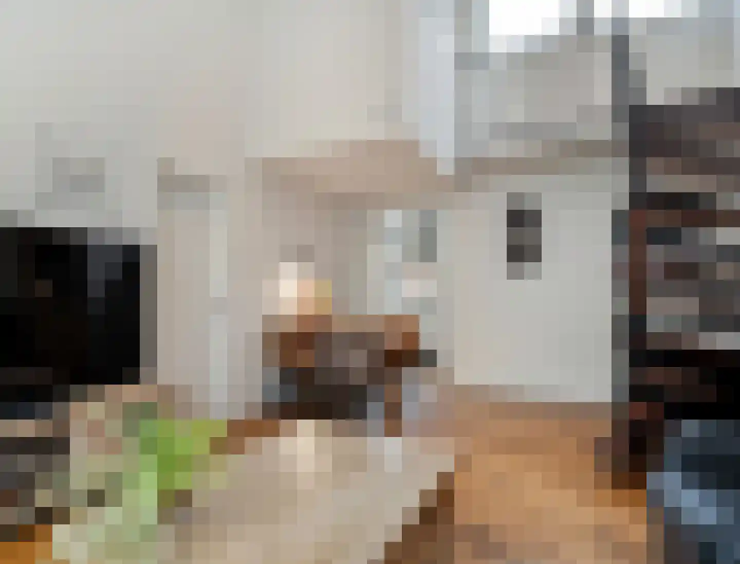Doemakkers 6 Oosterhesselen thumbnail 19