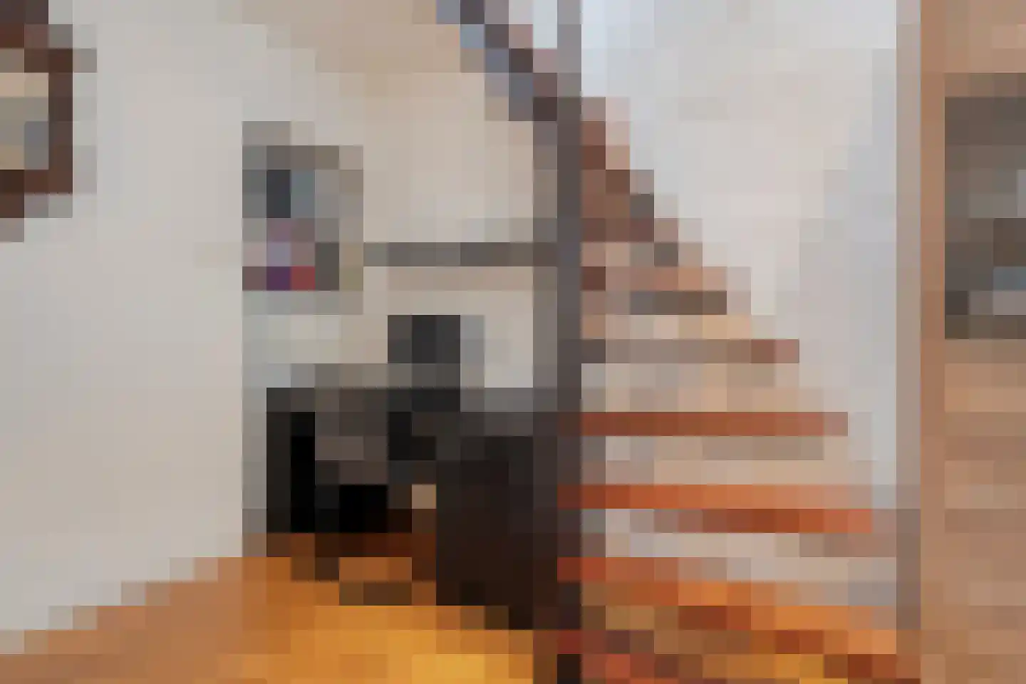 Doemakkers 6 Oosterhesselen thumbnail 26
