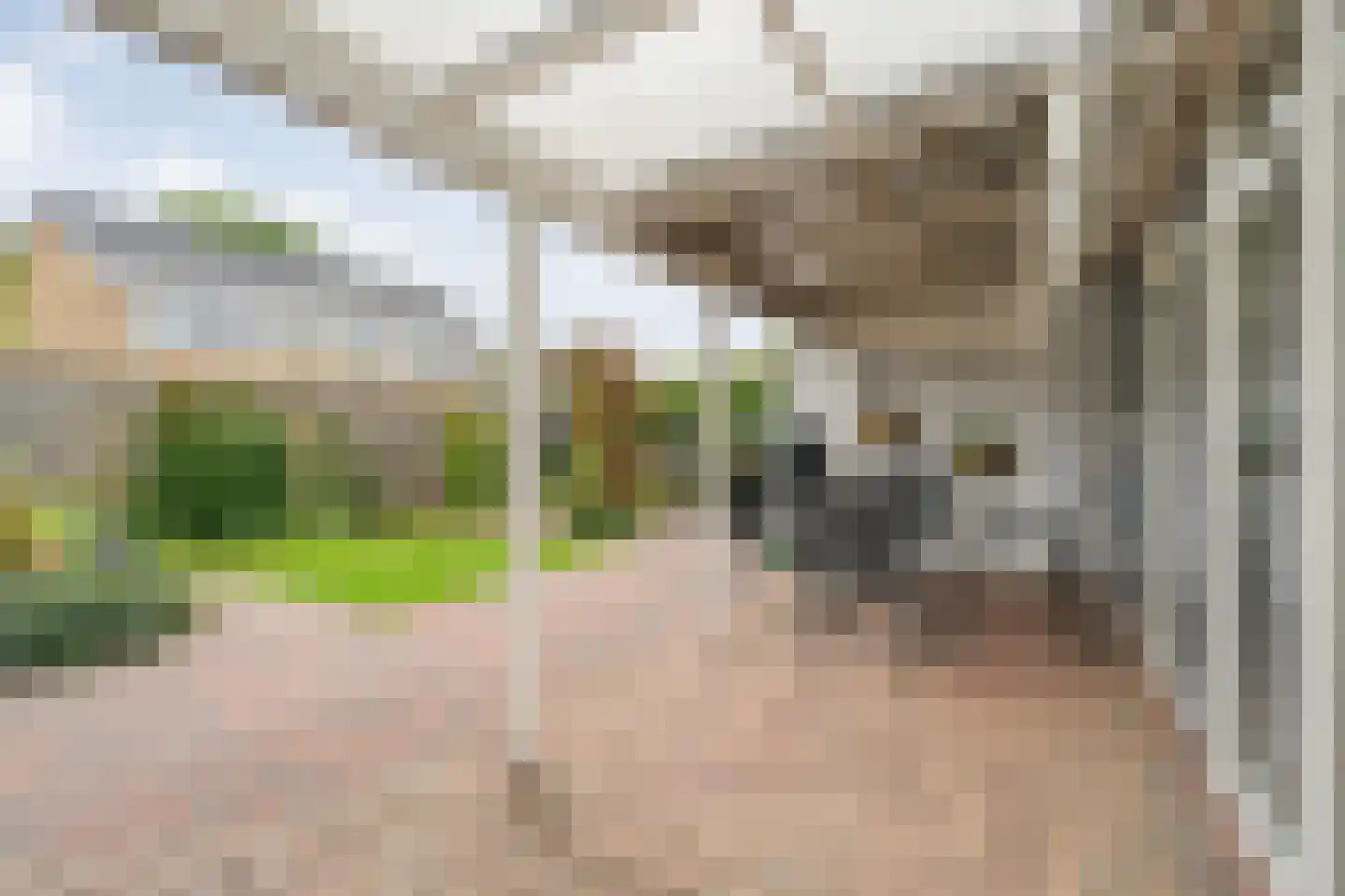 Doemakkers 6 Oosterhesselen thumbnail 31