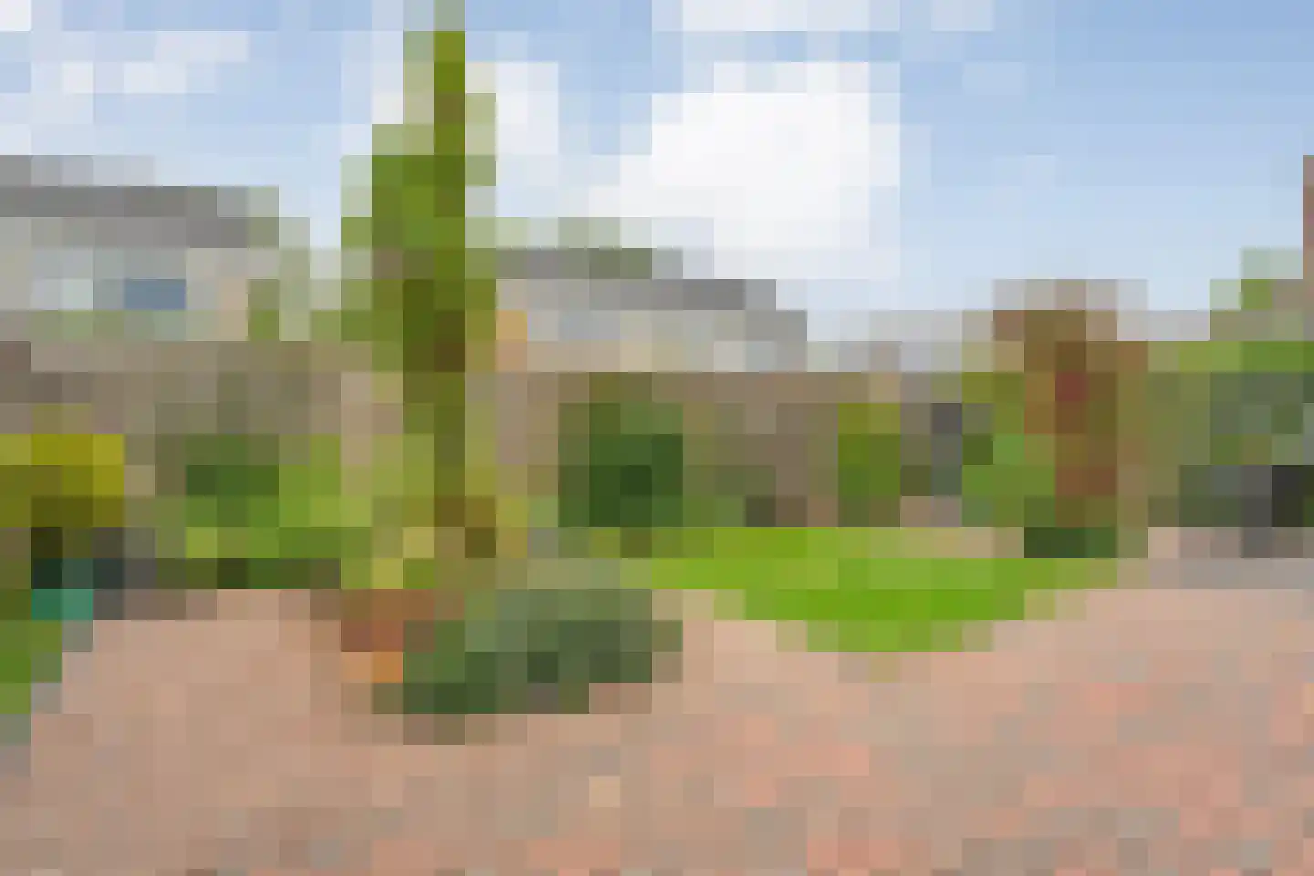 Doemakkers 6 Oosterhesselen thumbnail 33