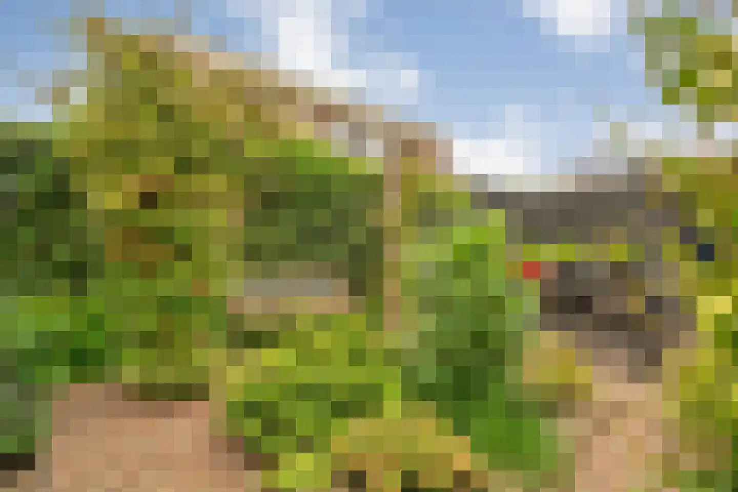 Doemakkers 6 Oosterhesselen thumbnail 40