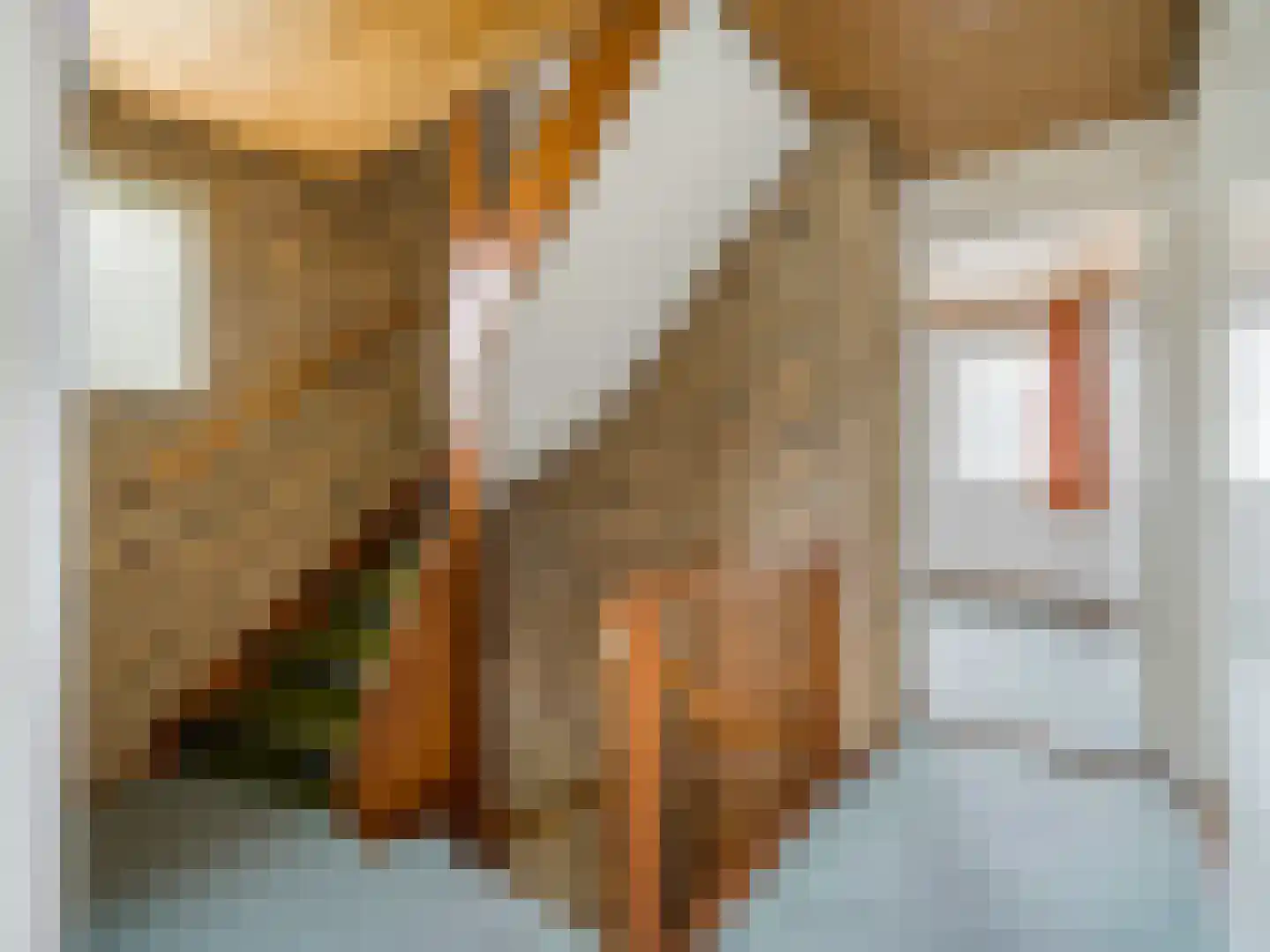 Doenradestraat 28 Breda thumbnail 20