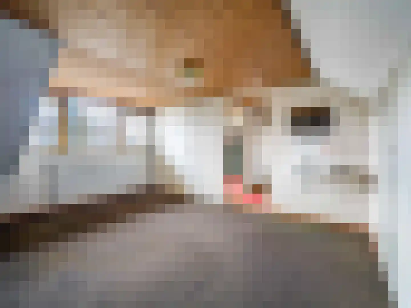 Doenradestraat 28 Breda thumbnail 30
