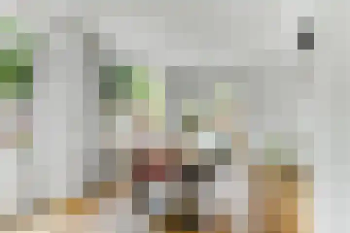 Doenradestraat 29 Breda thumbnail 11
