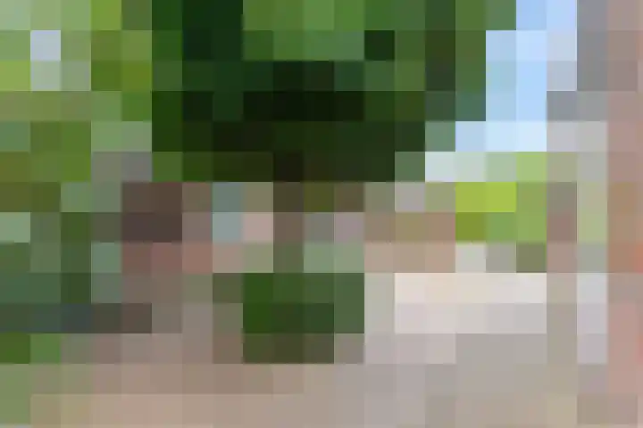 Doenradestraat 29 Breda thumbnail 19