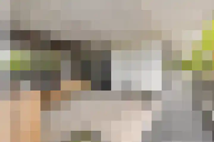 Doenradestraat 40 B1 Breda thumbnail 10