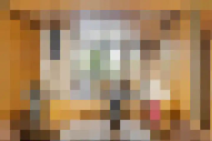 Doenradestraat 40 B1 Breda thumbnail 19