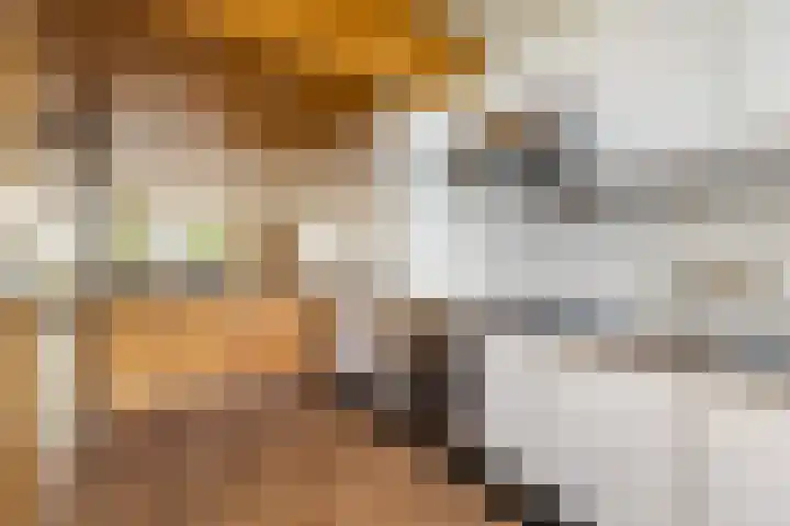 Doenradestraat 40 B1 Breda thumbnail 21