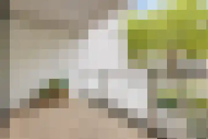 Doenradestraat 40 B1 Breda thumbnail 36