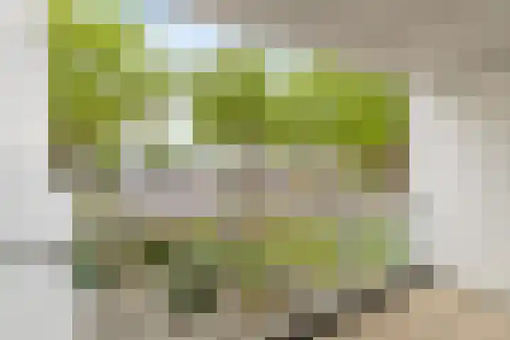 Doenradestraat 40 B1 Breda thumbnail 37