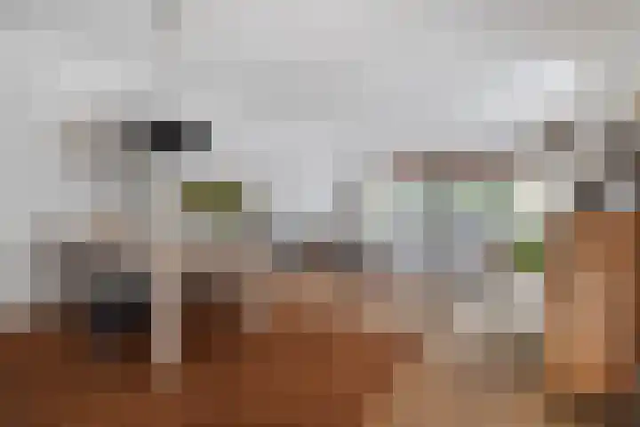 Doenradestraat 42 C10 Breda thumbnail 10