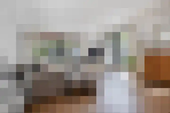 Doenradestraat 42 C10 Breda thumbnail 11