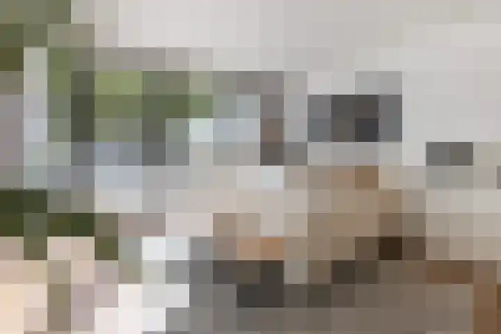Doenradestraat 42 C10 Breda thumbnail 16