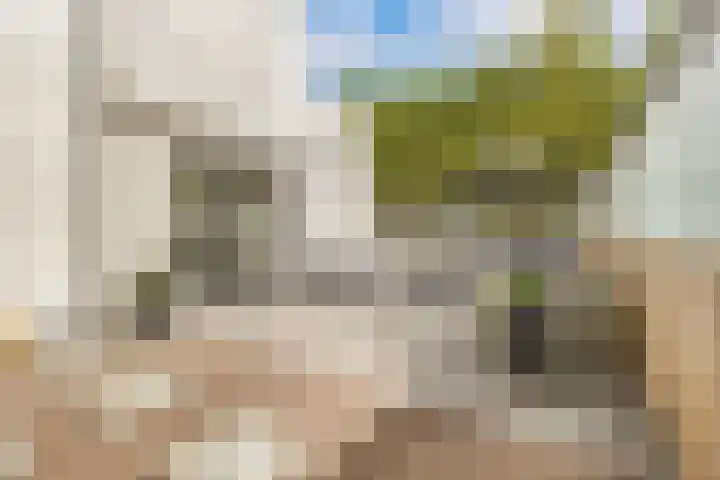 Doenradestraat 42 C10 Breda thumbnail 33