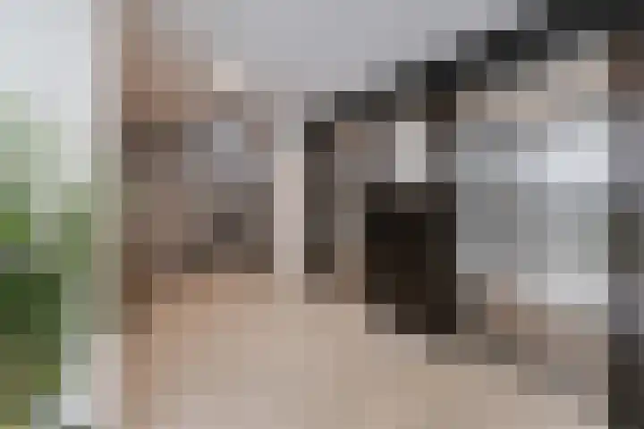 Doenradestraat 42 C10 Breda thumbnail 7