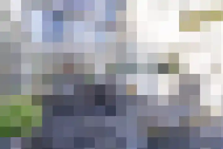 Doenradestraat 42 C15 Breda thumbnail 16