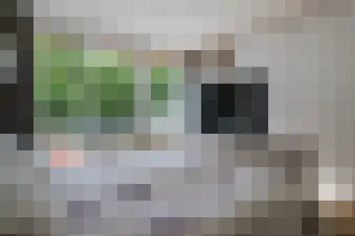 Doenradestraat 42 D24 Breda thumbnail 18