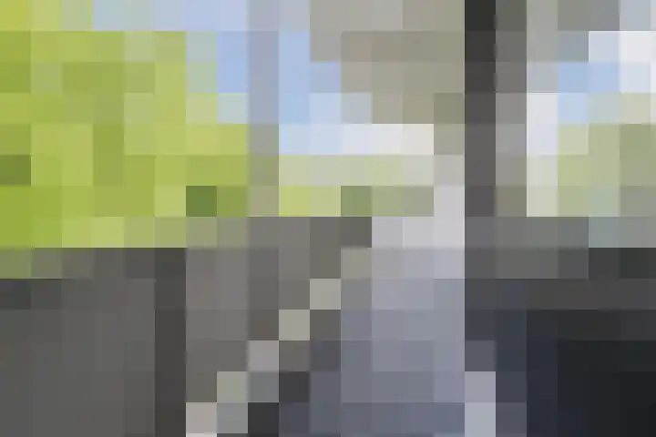 Doenradestraat 42 D24 Breda thumbnail 4