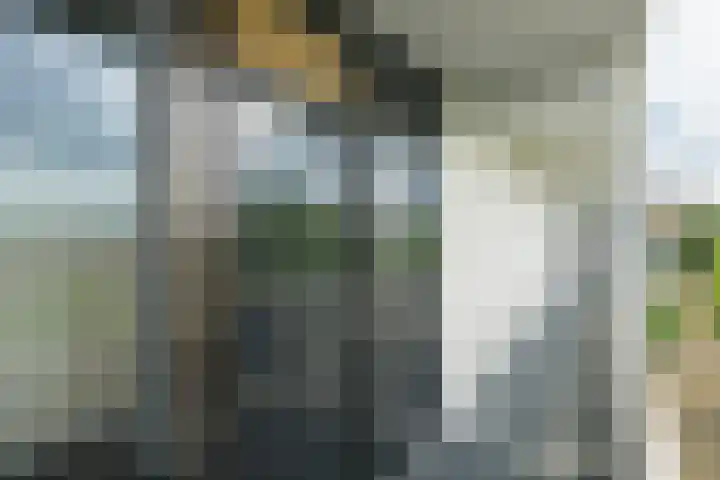 Doenradestraat 42 E30 Breda thumbnail 11