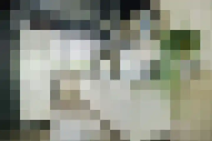 Doenradestraat 42 E30 Breda thumbnail 23
