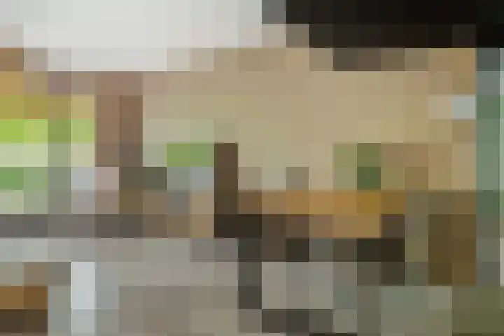 Doenradestraat 42 E30 Breda thumbnail 24