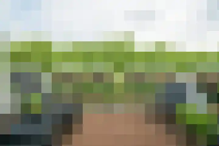 Doenradestraat 42 E30 Breda thumbnail 26