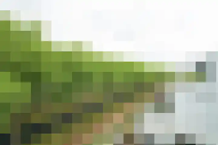 Doenradestraat 42 E30 Breda thumbnail 31