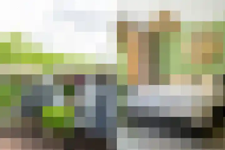 Doenradestraat 42 E30 Breda thumbnail 32