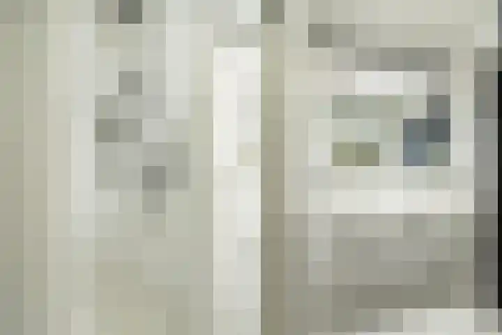 Doenradestraat 42 E30 Breda thumbnail 40