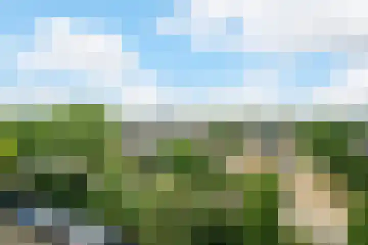 Doenradestraat 42 E30 Breda thumbnail 41