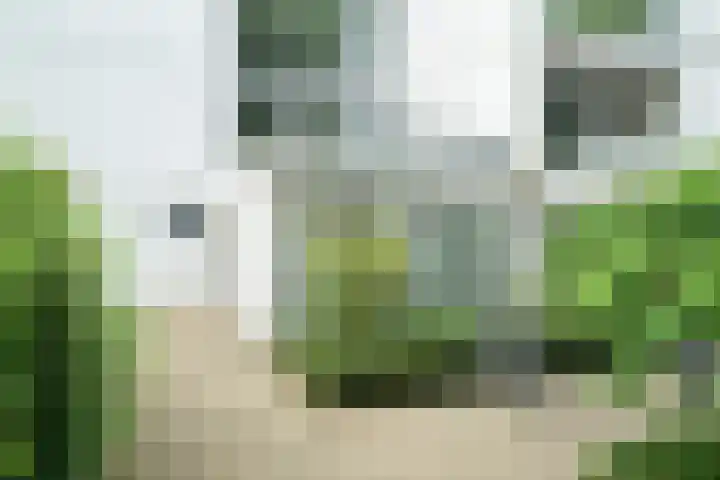 Doenradestraat 42 E30 Breda thumbnail 45